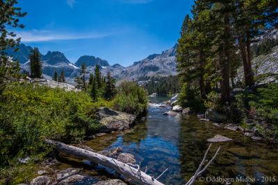 post-13206-0-31621900-1443107268_thumb.j