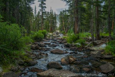 post-13206-0-33009600-1443106172_thumb.j