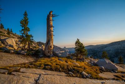 post-13206-0-40452600-1443105307_thumb.j