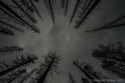 post-13206-0-40783100-1443105824_thumb.j