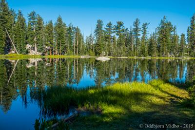 post-13206-0-54116700-1443105821_thumb.j