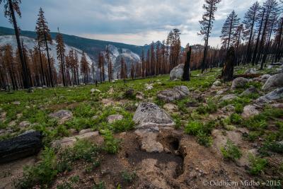 post-13206-0-57782900-1443105825_thumb.j