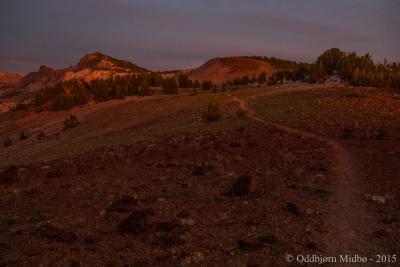 post-13206-0-74783400-1443107773_thumb.j