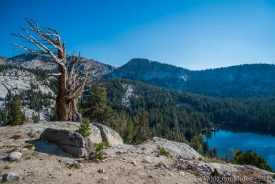 post-13206-0-87462600-1443104938_thumb.j