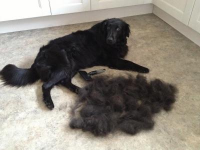 post-14142-0-32519400-1443090330_thumb.j