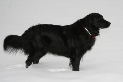 post-14142-0-34013500-1443090492_thumb.j