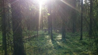 post-14478-0-45197600-1441607242_thumb.j