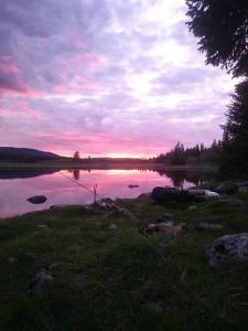 post-14911-0-50354900-1443382016_thumb.j