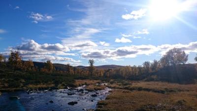 post-15265-0-61650900-1443426520_thumb.j