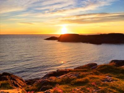 post-15902-0-28417200-1441284098_thumb.j