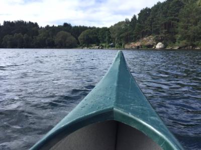 post-15902-0-45212000-1441283083_thumb.j