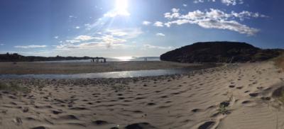 post-15902-0-70848200-1441283945_thumb.j