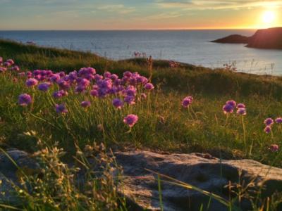 post-15902-0-91000900-1441284097_thumb.j