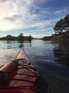 post-15991-0-01498600-1442427780_thumb.j