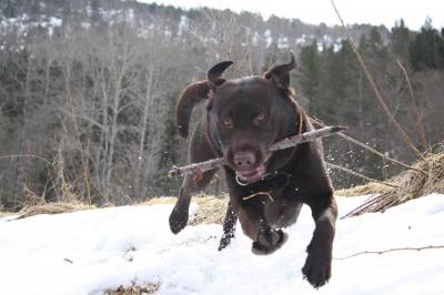 post-15991-0-23624900-1443285169_thumb.j