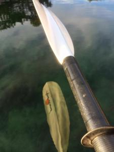 post-15991-0-45769600-1442427850_thumb.j