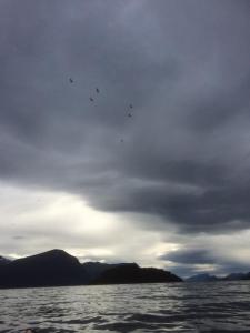 post-15991-0-87090000-1442170524_thumb.j