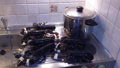 post-4220-0-39444200-1443512506_thumb.jp