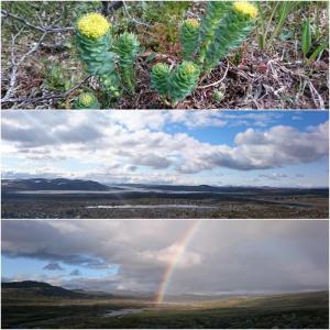 post-5141-0-62264300-1441824165_thumb.jp