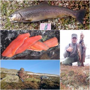 post-5141-0-91921000-1441823235_thumb.jp