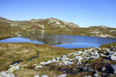 post-5331-0-99408600-1443445817_thumb.jp