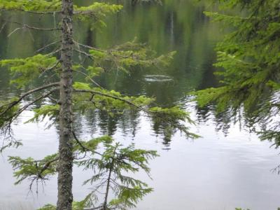 post-6295-0-58746500-1441274189_thumb.jp