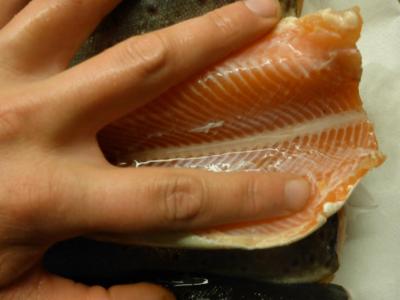 post-6295-0-86164700-1441274121_thumb.jp