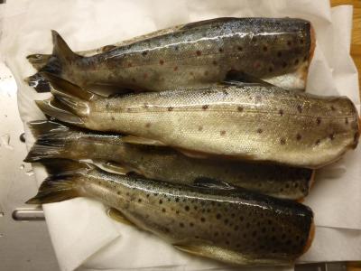 post-6295-0-97261100-1441274098_thumb.jp