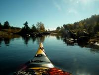 post-10482-0-04335800-1349468326_thumb.j