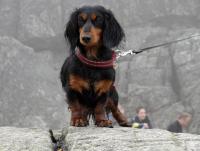 post-10923-0-57747000-1350657160_thumb.j