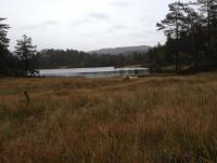 post-11141-0-20354600-1350495711_thumb.j