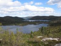 post-11141-0-38705300-1350495577_thumb.j