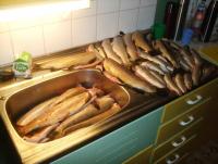 post-4016-0-94215700-1349751768_thumb.jp