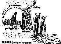 post-4220-0-29268800-1350719404_thumb.gi