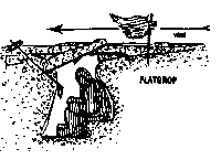 post-4220-0-94109000-1350719506_thumb.gi