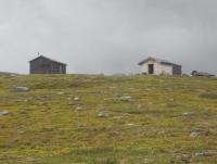 post-7769-0-06409500-1351015852_thumb.jp