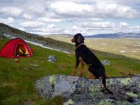 post-9907-0-75449900-1349520182_thumb.jp