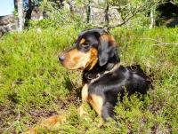 post-9907-0-84411200-1349520596_thumb.jp