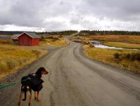 post-9907-0-97006500-1349520495_thumb.jp