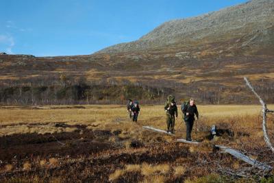 post-10401-0-02732600-1381255712_thumb.j