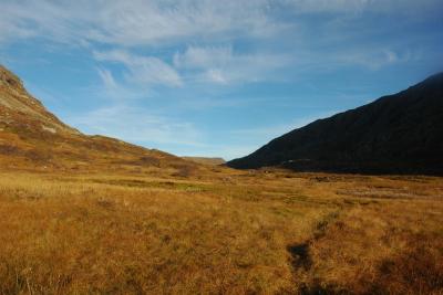 post-10401-0-15668500-1381317853_thumb.j