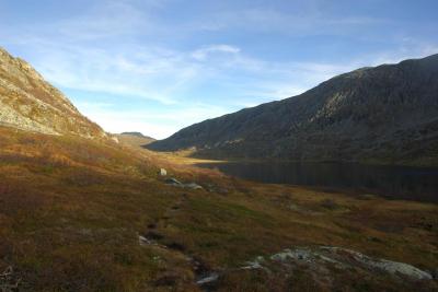 post-10401-0-38855000-1381317923_thumb.j