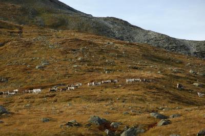 post-10401-0-41299900-1381257158_thumb.j