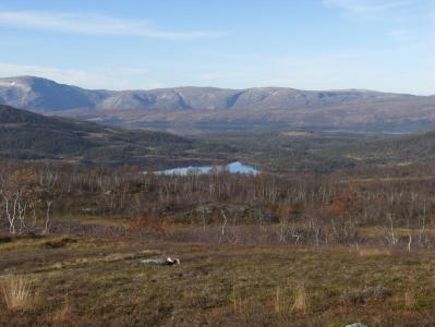 post-10401-0-58779000-1381255744_thumb.j