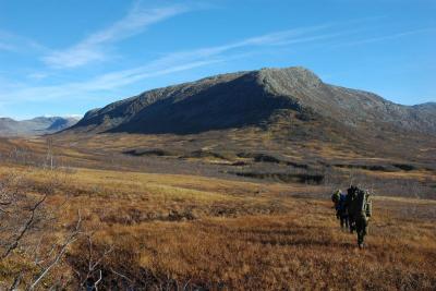 post-10401-0-61639700-1381255905_thumb.j