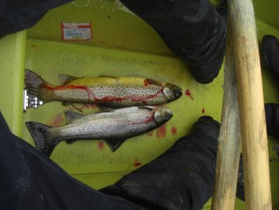 post-10401-0-61659300-1381340921_thumb.j