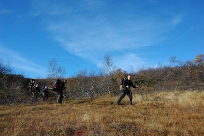 post-10401-0-78180600-1381255867_thumb.j