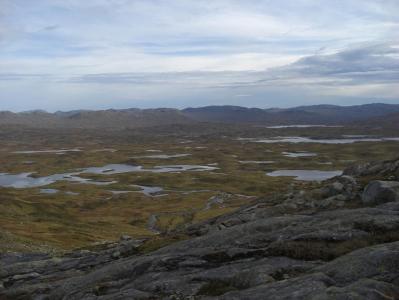 post-10401-0-80415000-1381339547_thumb.j