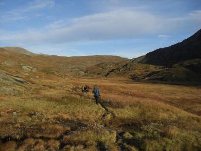 post-10401-0-80563100-1381256790_thumb.j