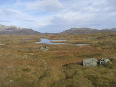 post-10401-0-81090100-1381256816_thumb.j